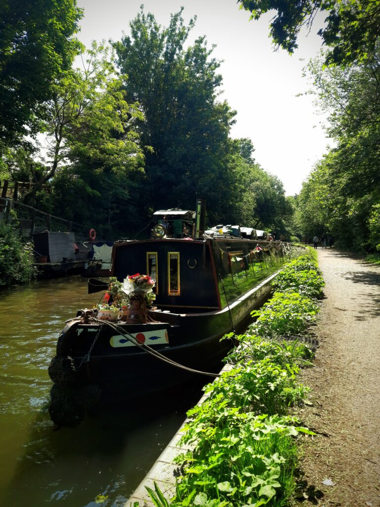 20240519_105140-EDIT-768x1024